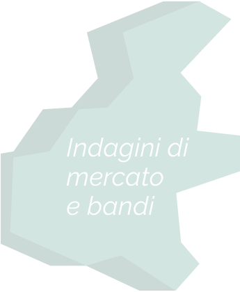 Indagini dio Mercato & Bandi